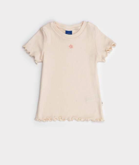 Captura de pantalla 2026-07-15 a la(s) 11.34.57 REMERA FLOR EE JR