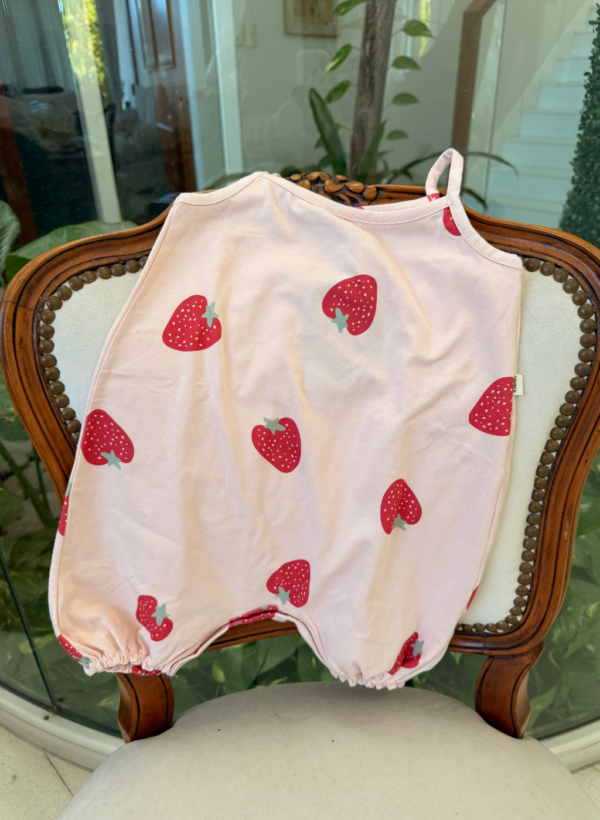 ENTERITO FRUTILLA