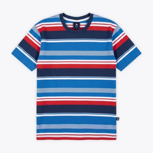 REMERA JR RETRO