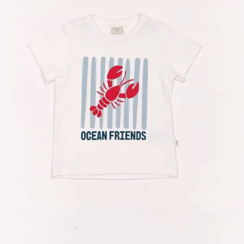 REMERA PABLI