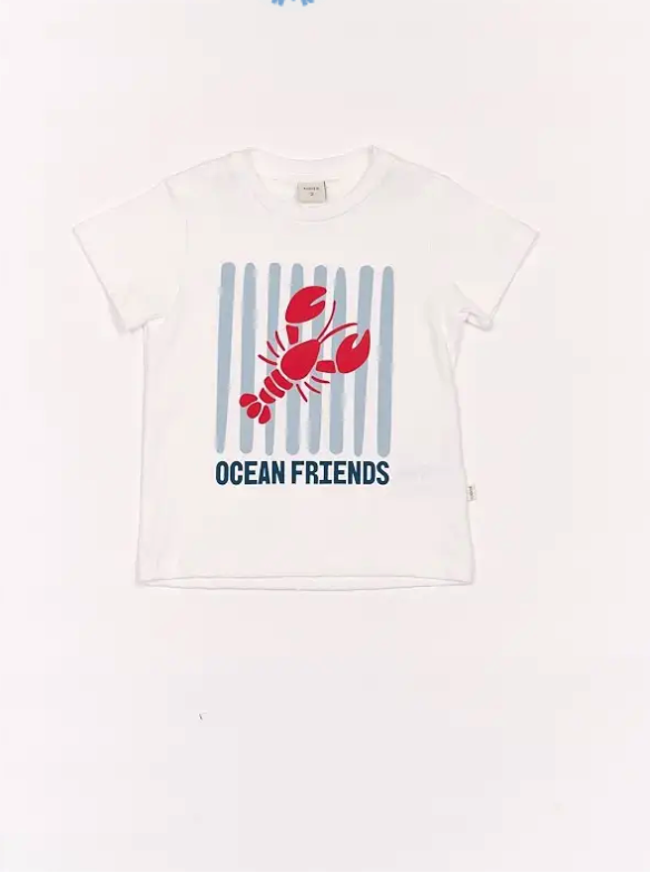 REMERA PABLI